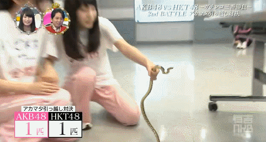 너무 솔직히 인터뷰해서 일본 네티즌들에게 욕먹은 일본인 아이돌.jpg | 인스티즈