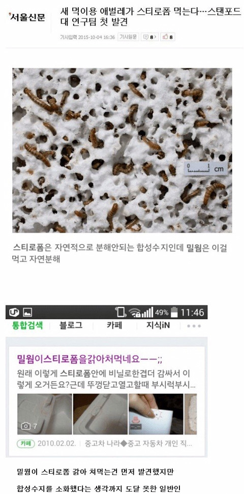 아는만큼 보인다 (벌레 주의) | 인스티즈