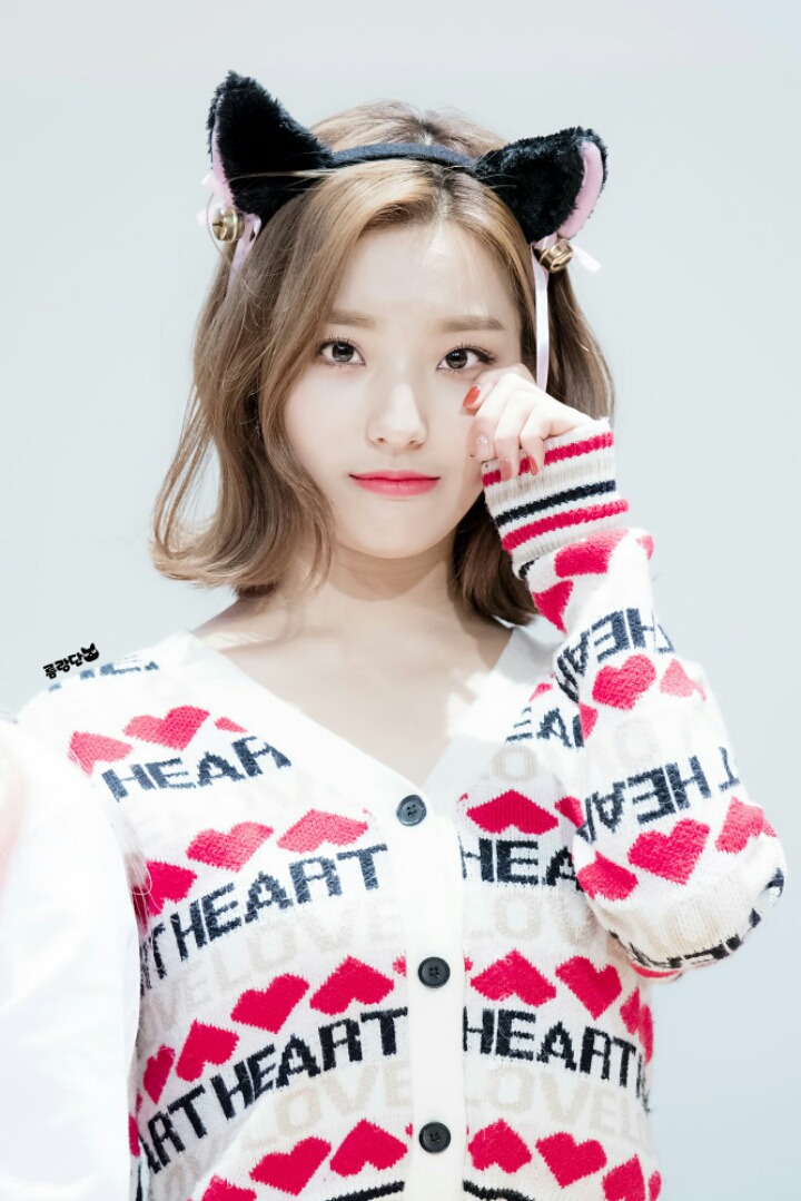 별로 좋아하진않고 내 취향도 아닌데 남들은 이쁘다고하는 | 인스티즈