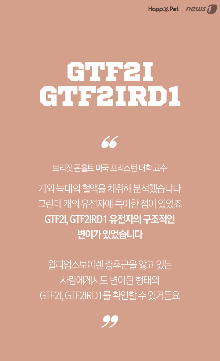 개들은 왜 처음보는 사람도 좋아할까? (이유충격) | 인스티즈