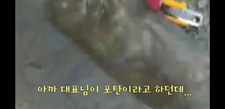 군필자들이 기막혀 할 이런 바보들의 행진.jpg | 인스티즈