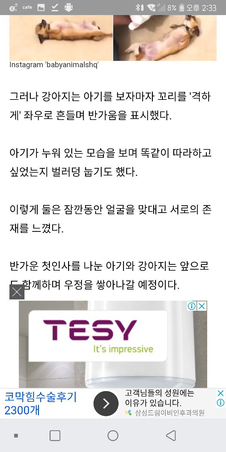 처음본 아기가 너무 귀여워 똑같이 배뒤집으며 따라한 댕댕이 | 인스티즈