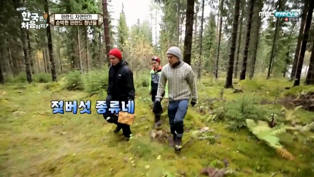 [어서와~한국은처음이지?] 핀란드 20대男들의 유흥문화 | 인스티즈
