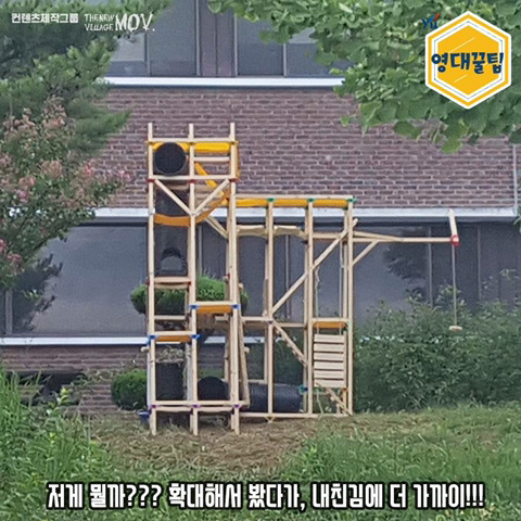 교내 길고양이들한테 밥 주지 말라는 학교 | 인스티즈