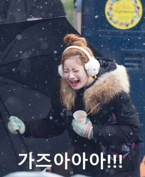 이렇게 된 이상 독일 집으로 보내자 | 인스티즈