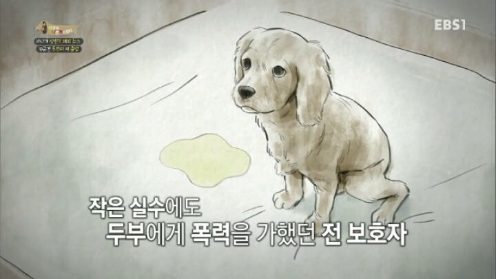 [세나개] 시도때도 없이 마운팅하고 똥을 먹는 두부의 문제 행동 고치기 -1.jpg | 인스티즈
