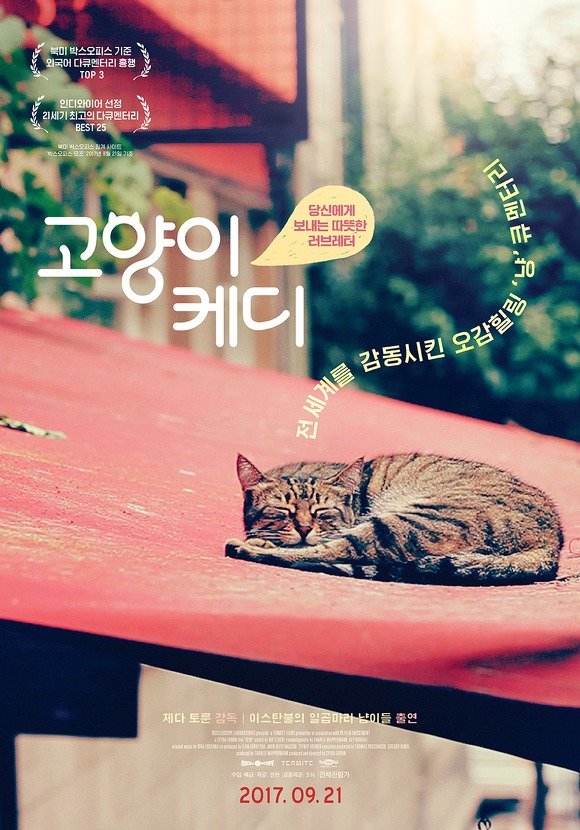 소지섭이 수입하는 다양성 영화들 | 인스티즈