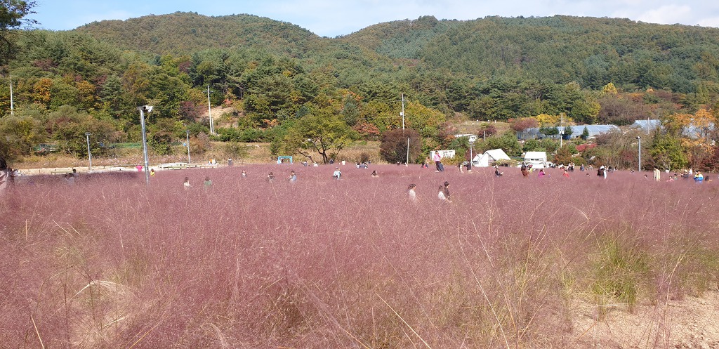 산정랜드 이미지