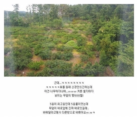 가성비 좋은 백종원 호텔.jpg | 인스티즈
