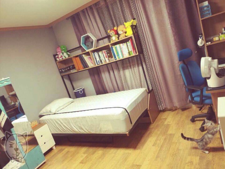 가구 옮기는걸 도와주는 냥이.JPG | 인스티즈
