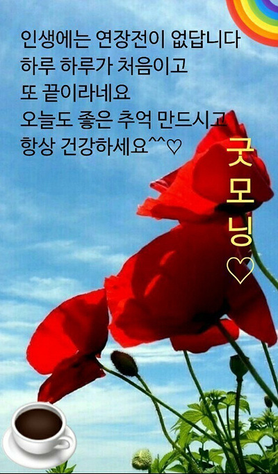행복한잔 이미지