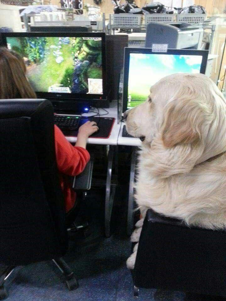 PC방 이미지