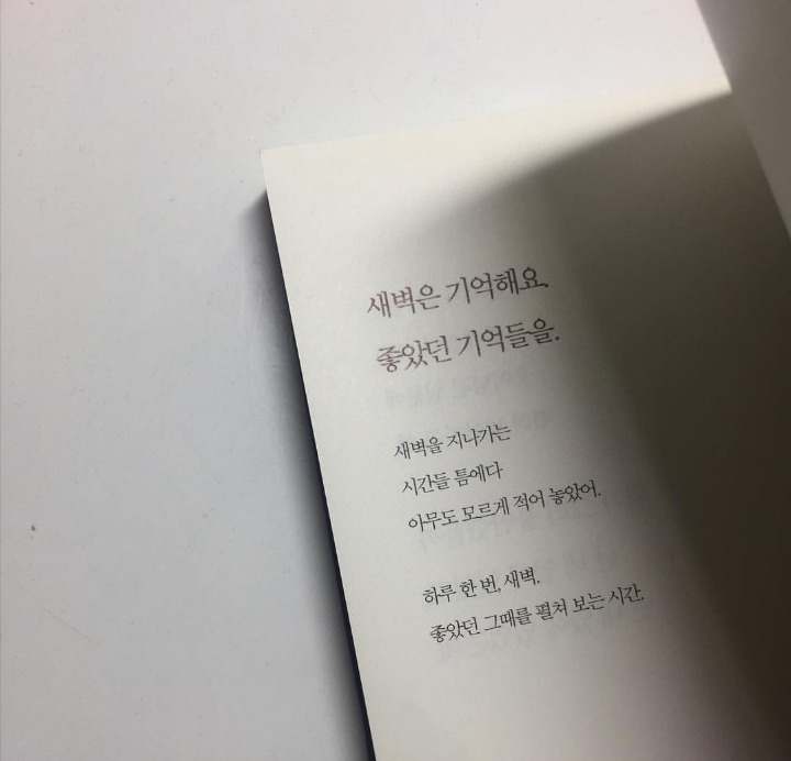 미워할 게 뭐 있나요 | 인스티즈