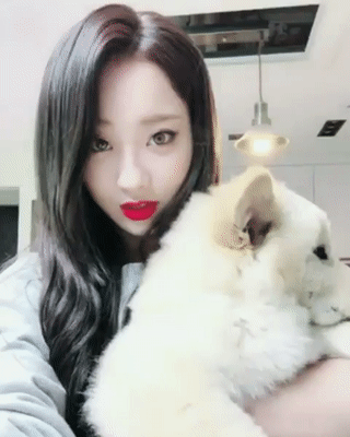 경리와 댕댕이.gif | 인스티즈