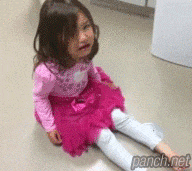 강아지와 고양이의 차이.gif | 인스티즈