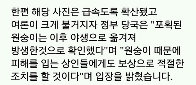 '과일 하나 훔쳤다'고 온몸이 꽁꽁 묶여 사람들 웃음거리 된 원숭이 | 인스티즈