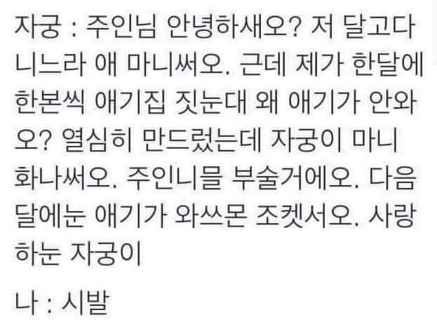 자궁 : 주인님 안녕하새오? | 인스티즈