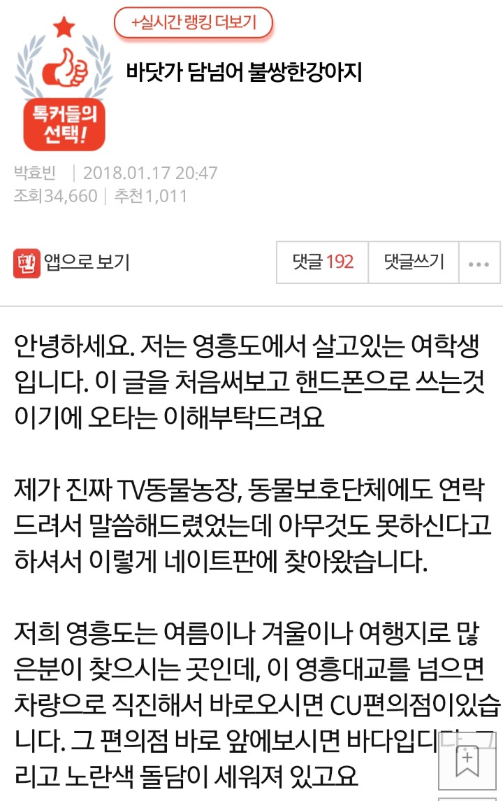 바닷가 담넘어 불쌍한강아지.... 추위와 굶주림에 떨고 있는 강아지를 구해주세요! | 인스티즈
