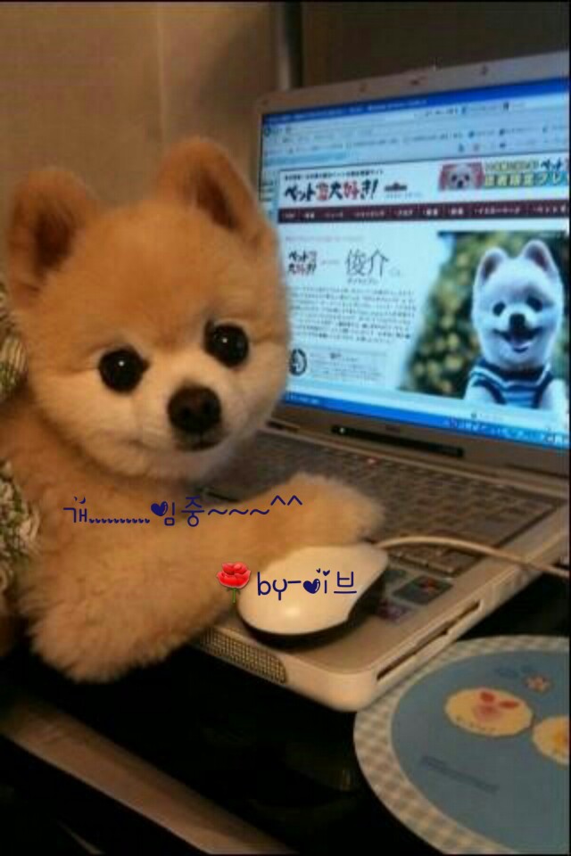 미소 이미지