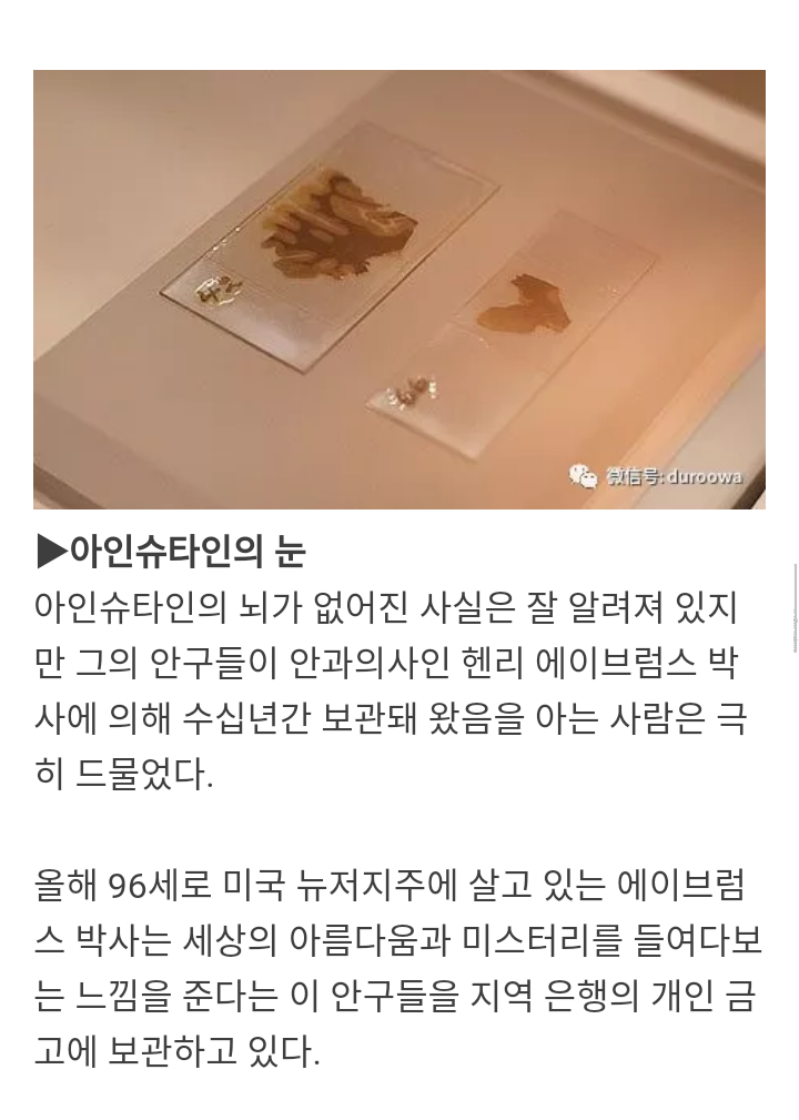 위인들의 남아있는 신체 일부 | 인스티즈