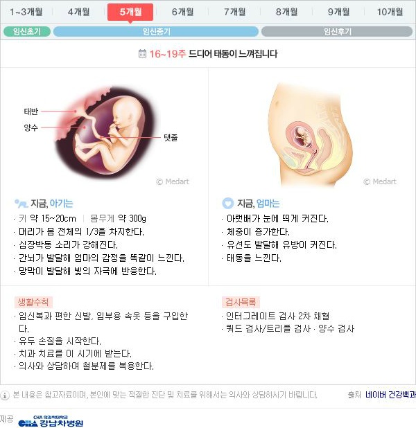 10달동안 무슨 변화가 일어나는걸까?: 임신 알아보기 | 인스티즈