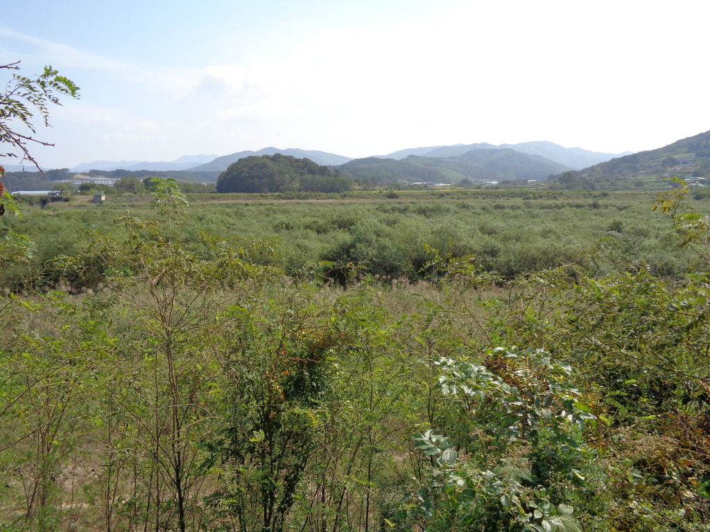 청산생선국수 이미지