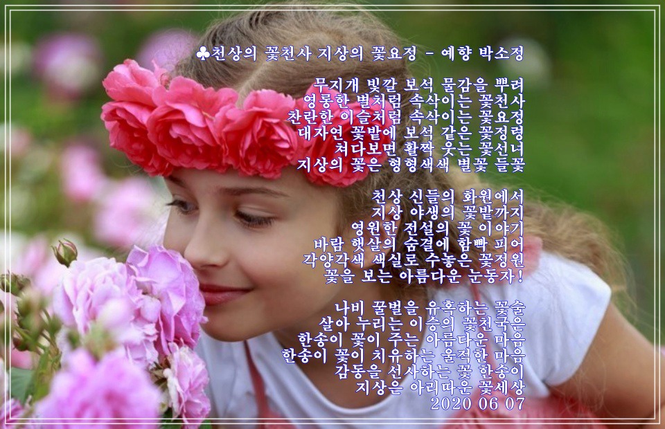 천사꽃화원 이미지