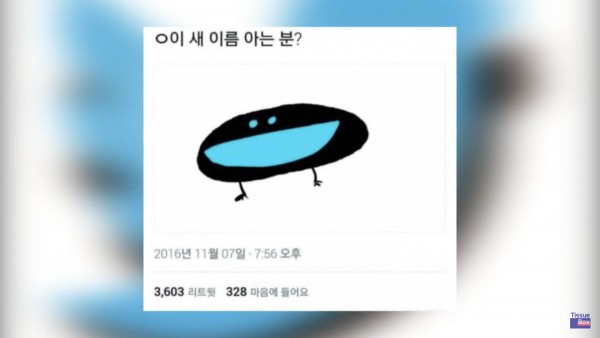 초딩아 이런 새가 어디있냐 ㅋㅋㅋ | 인스티즈