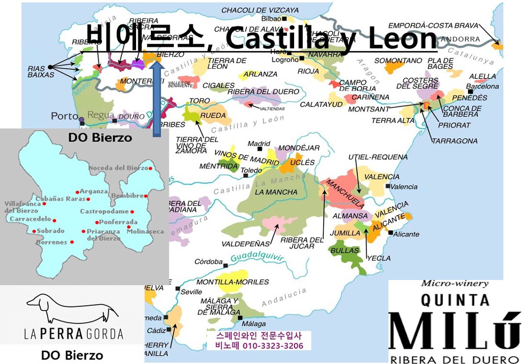 라뻬떼 이미지