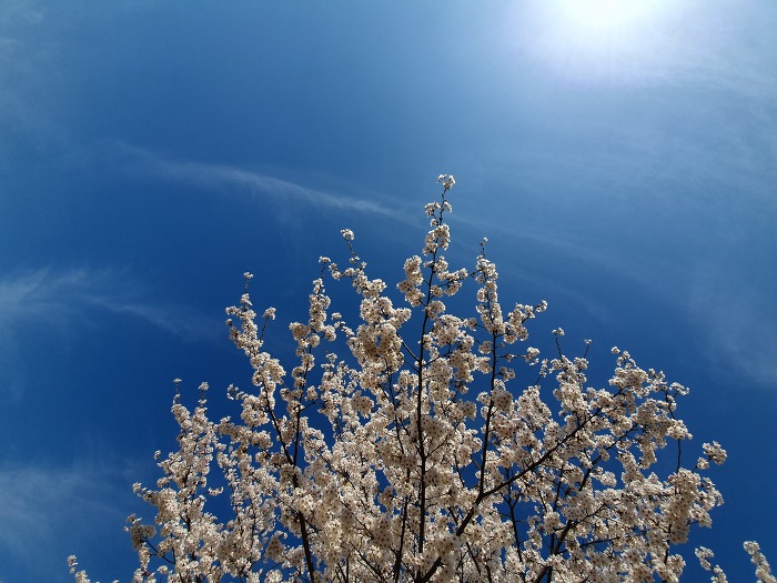 99859A3D5CBACBEB1EA226