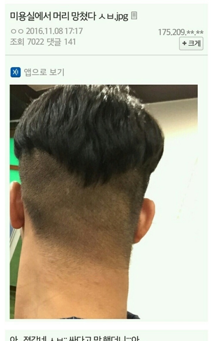 2018년 첫 바오밥나무 | 인스티즈