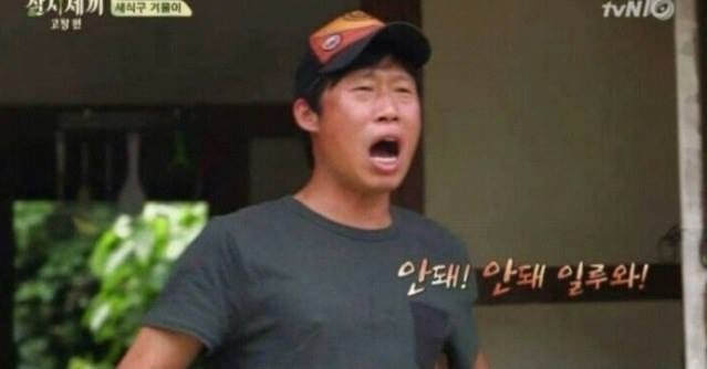 집에서 반려견이 안보일때 찾는법 | 인스티즈