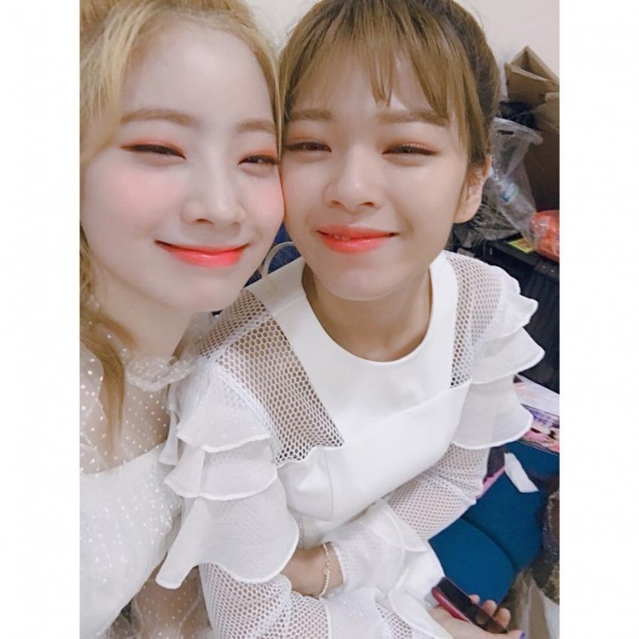 트와이스 다현 인스타그램 (feat 정연,모모,미나,사나) | 인스티즈