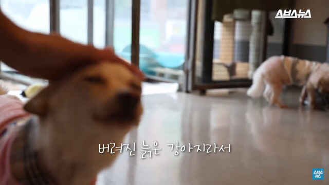 사람들이 홍대에서 인형을 뽑다 우는 이유는? | 인스티즈