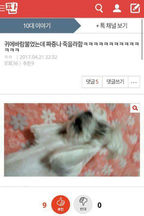 아무말 대잔치 모음ㅋㅋㅋㅋㅋㅋㅋ | 인스티즈