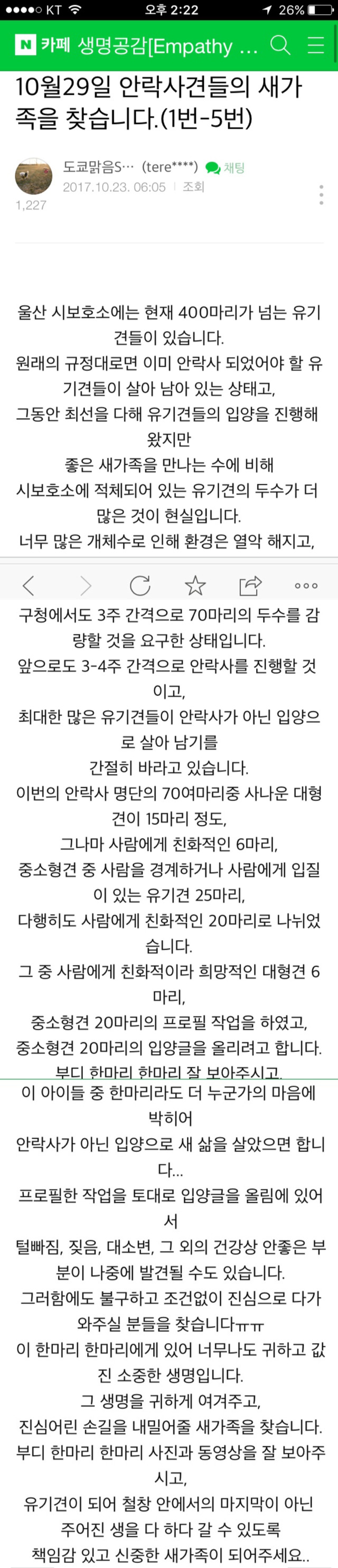 10월29일 안락사견들의 새가족을 찾습니다.(1~15번) | 인스티즈