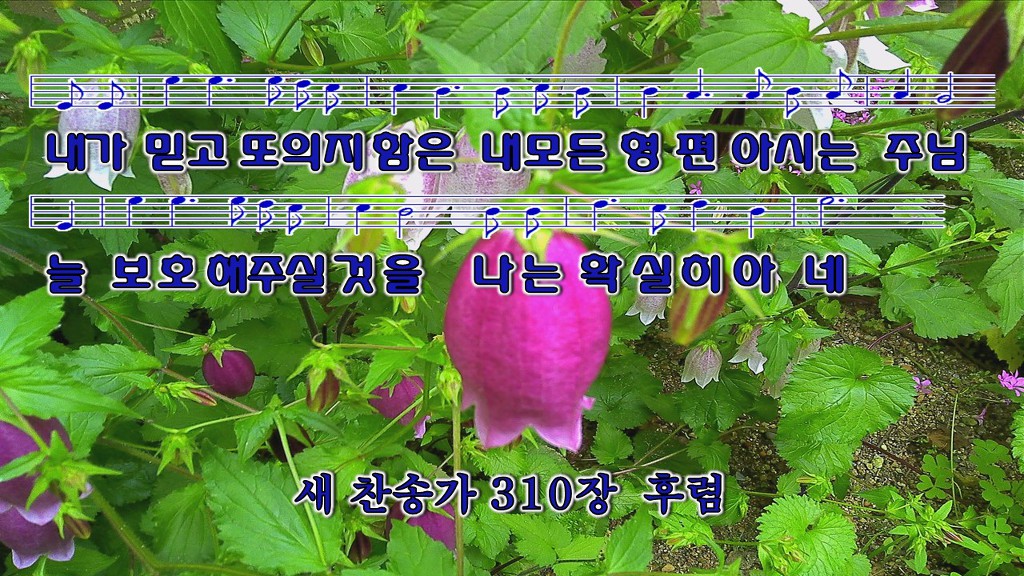 은혜 이미지