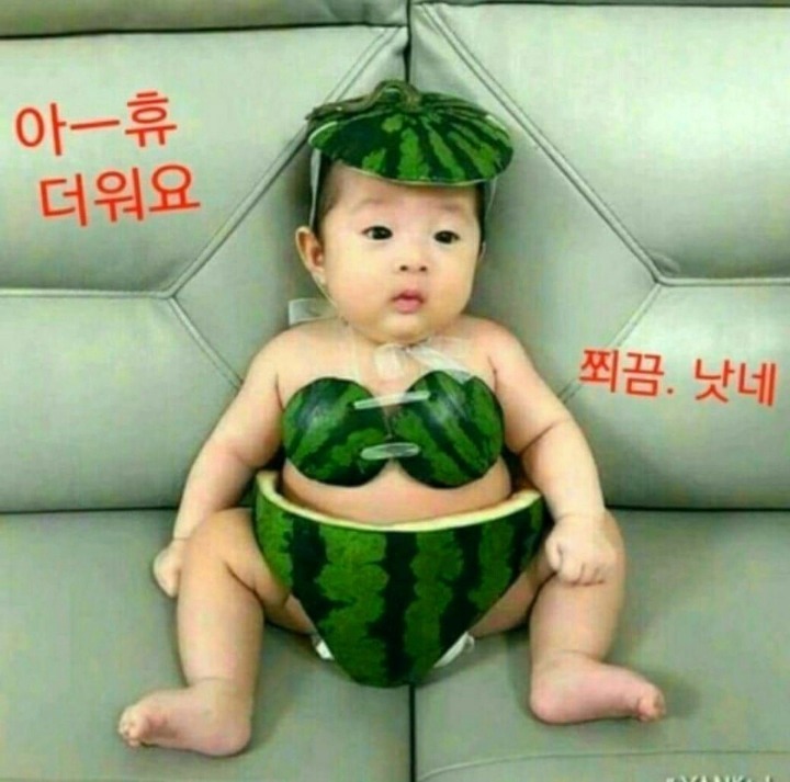 꽃님 이미지
