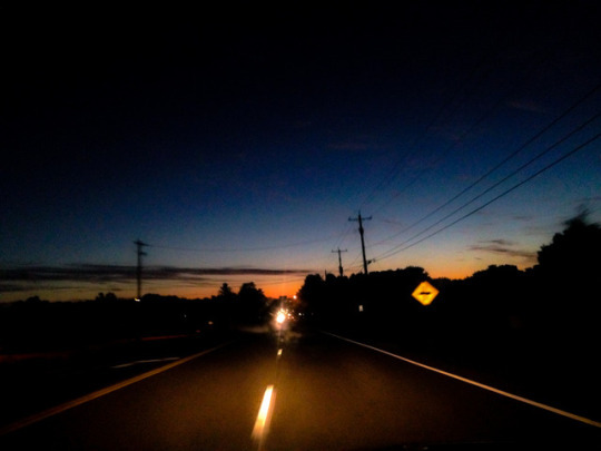  꽃이라도 다 같은 꽃은 아니다 | 인스티즈