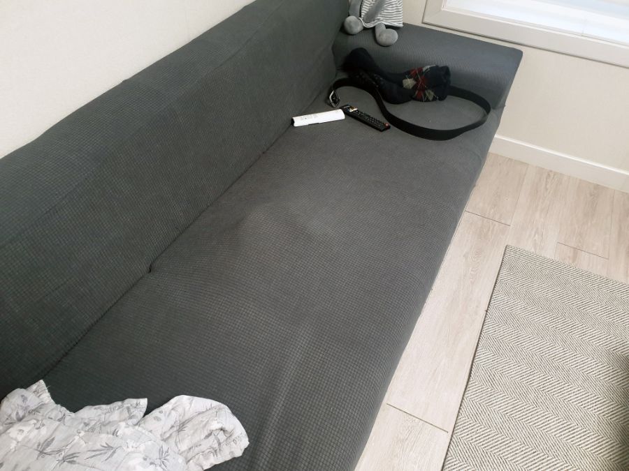 집 나간줄 알았던 고양이 | 인스티즈