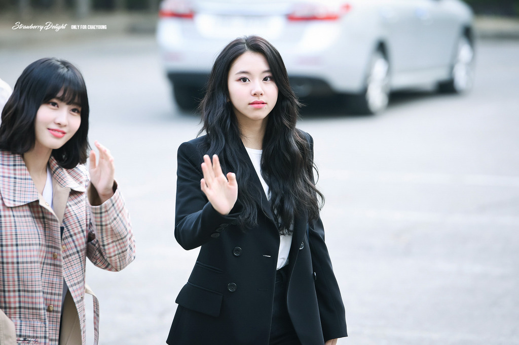 이제는 성인인 어른맹수 트와이스 채영| | 인스티즈