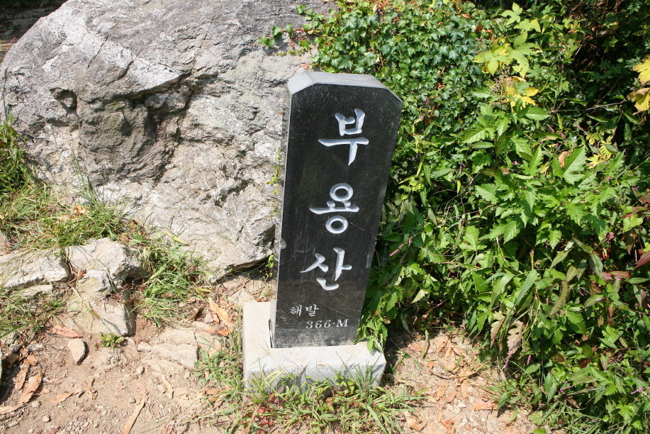 오고파 이미지