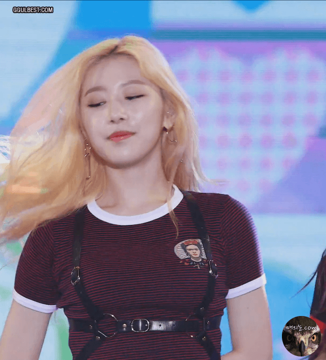 소나무 의진 ㅡㅑ.gif | 인스티즈