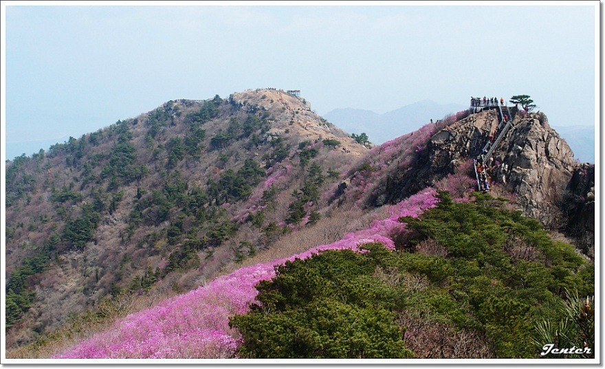 여수M 이미지