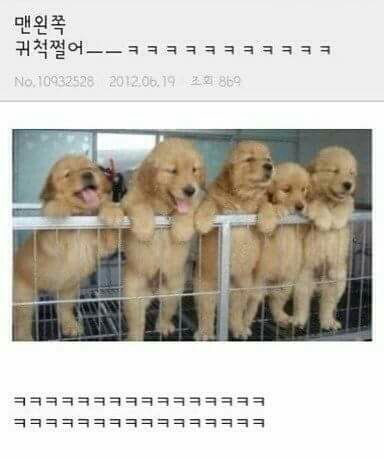 웃긴짤 모음집 | 인스티즈