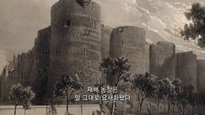 우리가 커피를 값싸게 먹을수 있는 이유 | 인스티즈