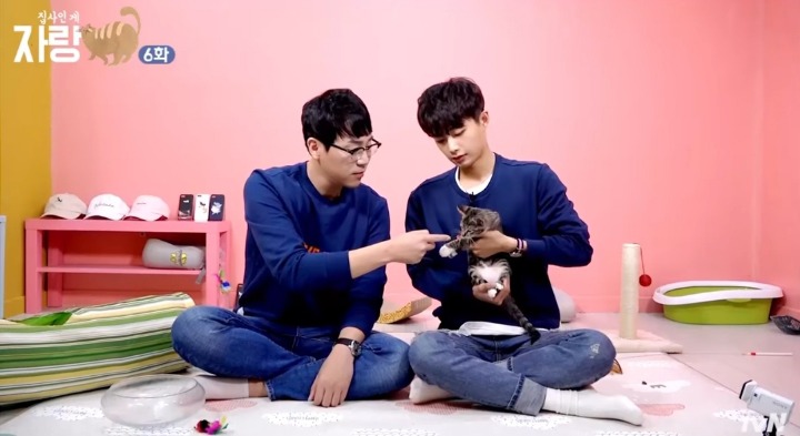 고양이랑 인사하는 법.jpg | 인스티즈