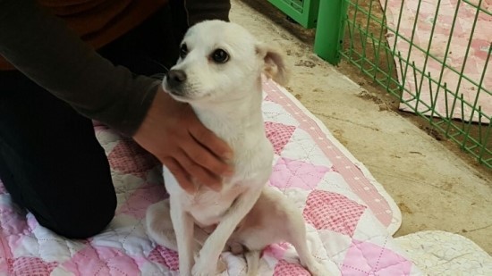 영희농장 이미지