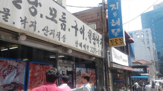 진도집 이미지
