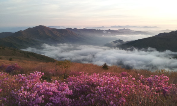 지리산 노고단의 풍경 | 인스티즈